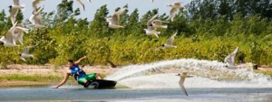 Shredding the Natural way